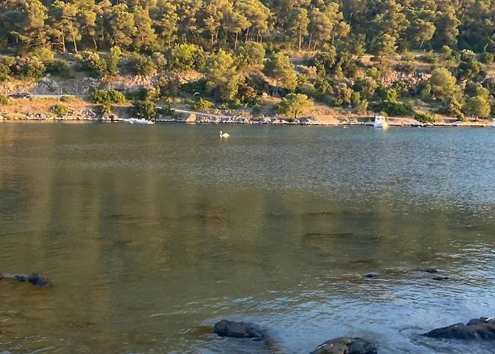 Apartmani Grebastica Grebaštica